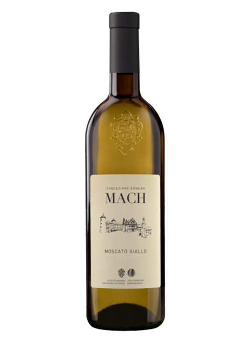 Moscato Giallo 2019