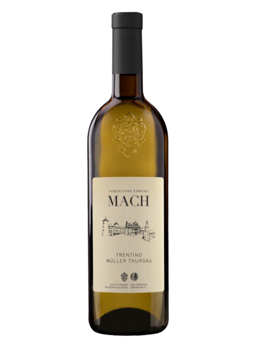 Müller Thurgau 2019