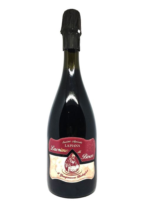 Lacrime di Bosco Lambrusco Grasparossa Dop